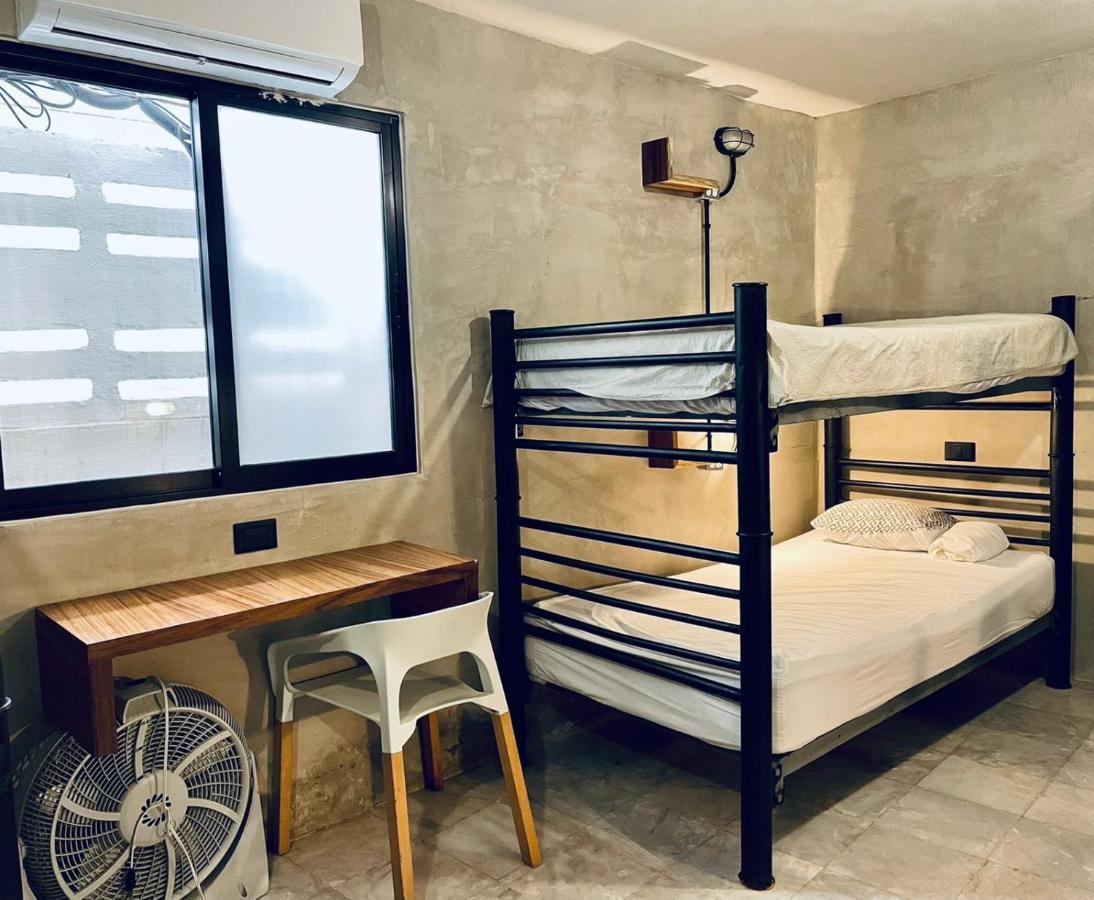 קנקון Moloch Hostel & Suites מראה חיצוני תמונה